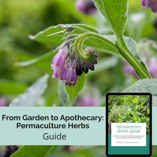 From Garden to Apothecary: The Permaculture Herb Guide