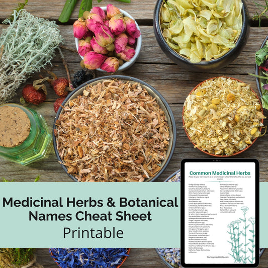 Medicinal Herbs & Botanical Names Cheat Sheet