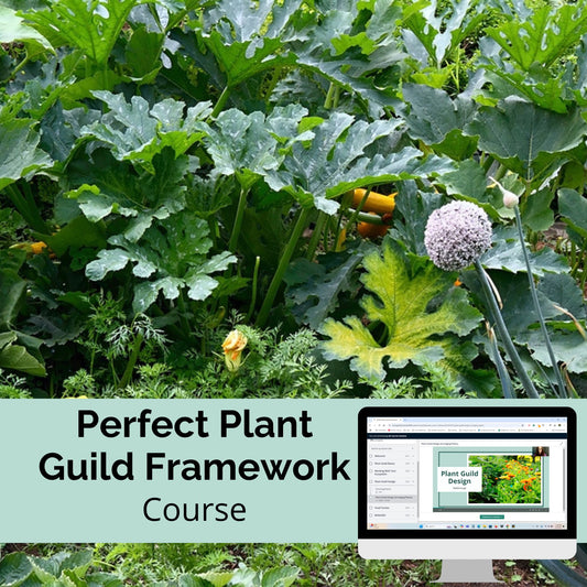 Perfect Plant Guild Framework