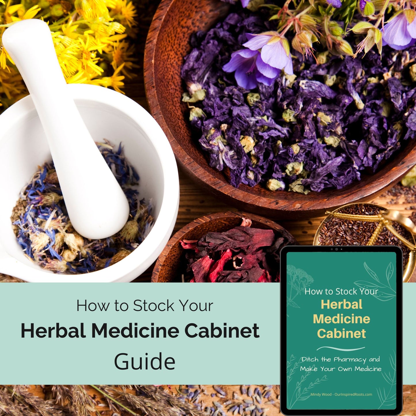 How to Stock Your Herbal Medicine Cabinet