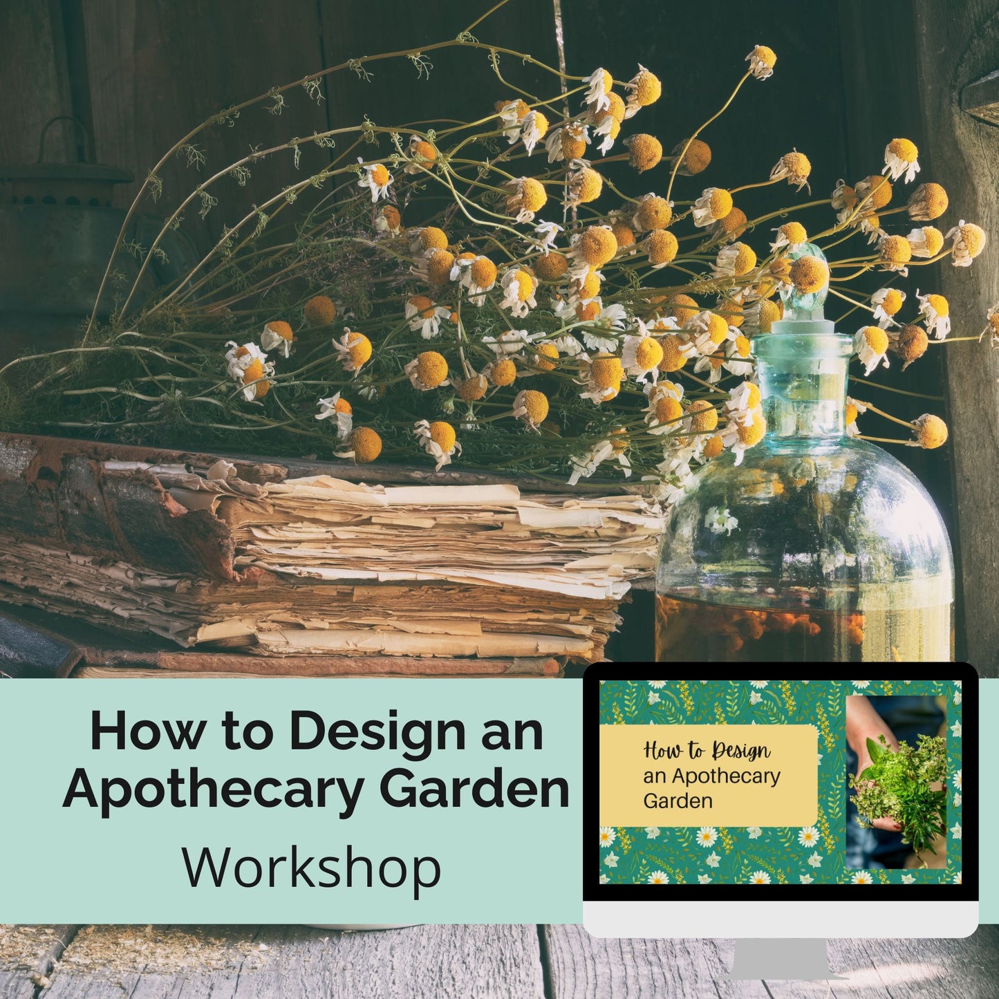 Workshop: How to Design an Apothecary Garden