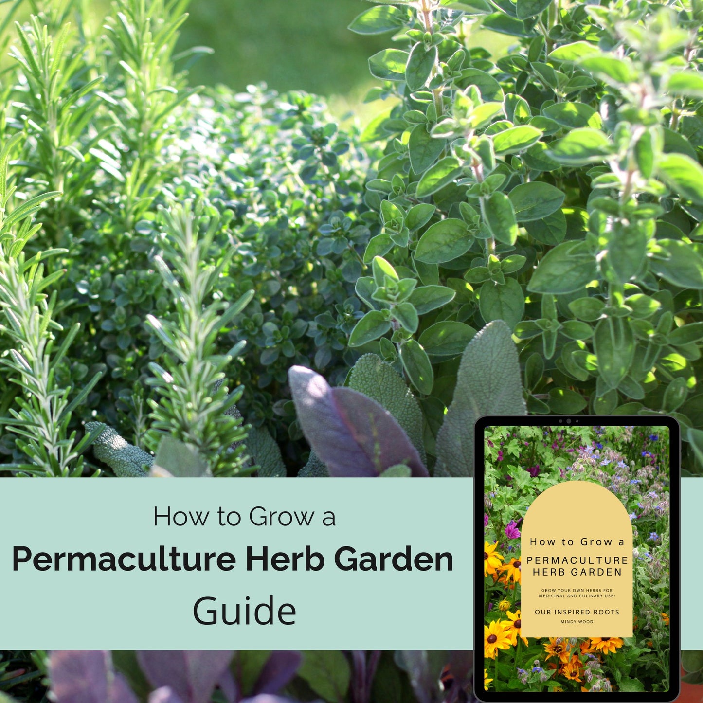 How to Grow a Permaculture Herb Garden