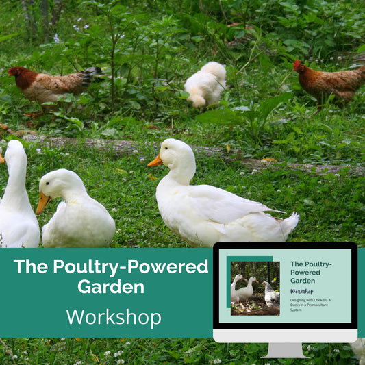 The Poultry-Powered Garden
