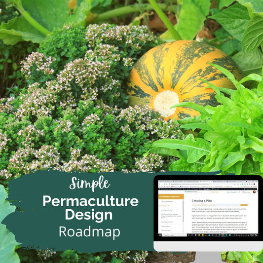 Simple Permaculture Design Roadmap