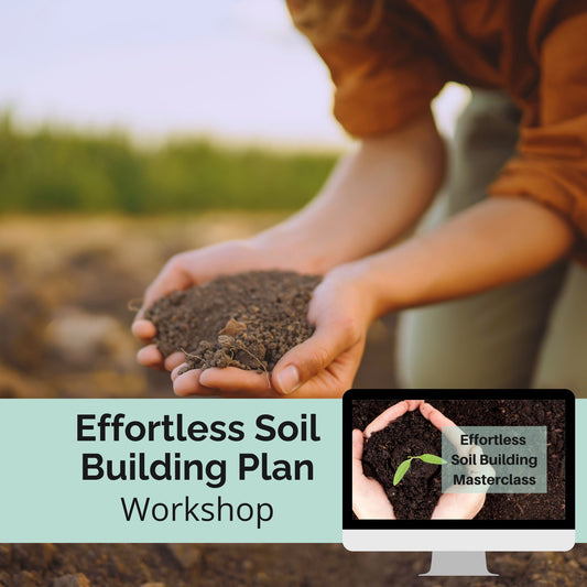 Workshop: Effortless Soil Building Plan