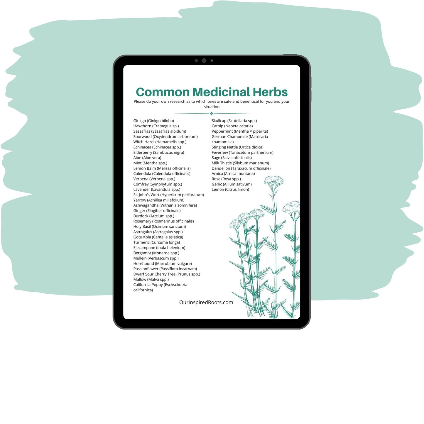 Medicinal Herbs & Botanical Names Cheat Sheet