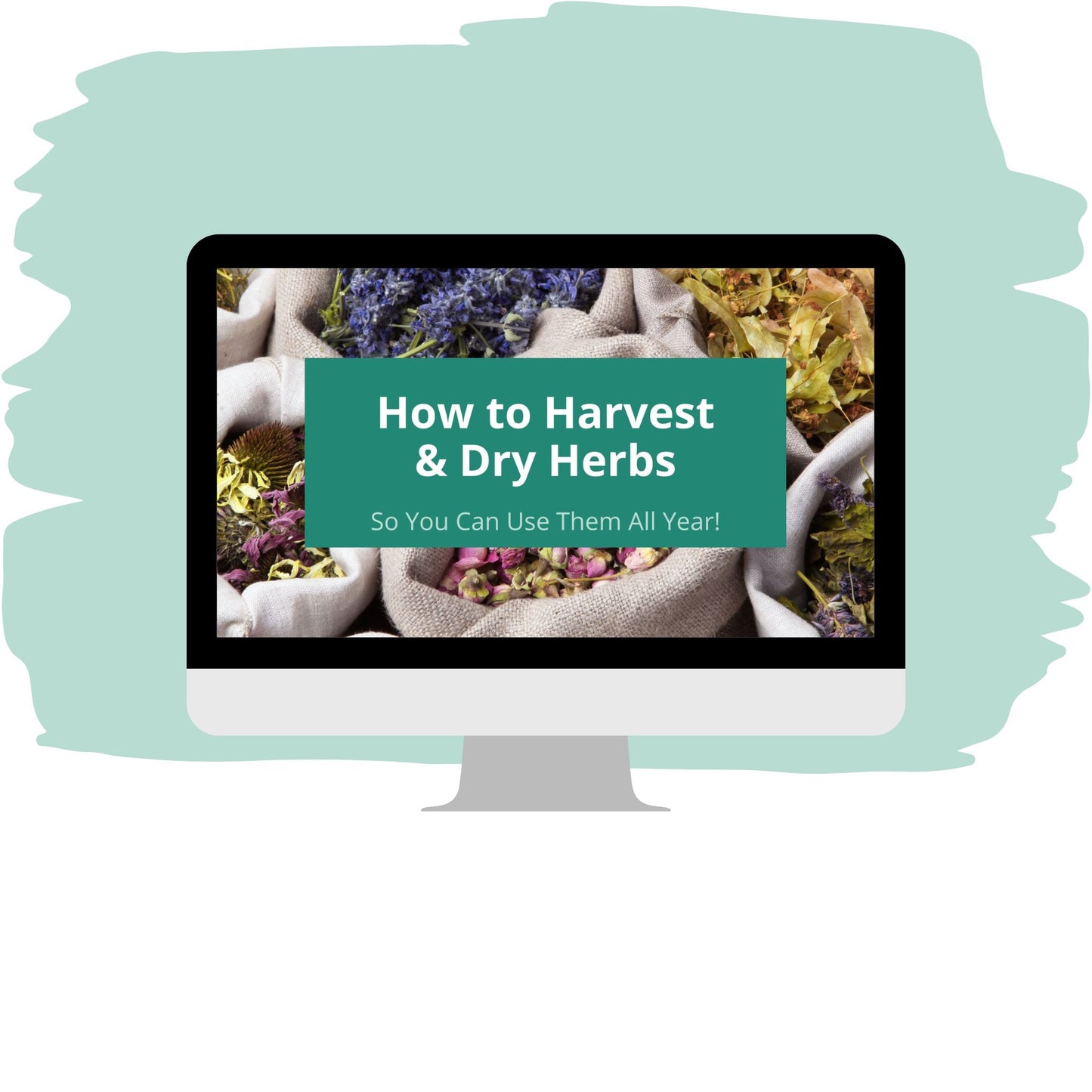 Workshop: How to Harvest and Dry Herbs