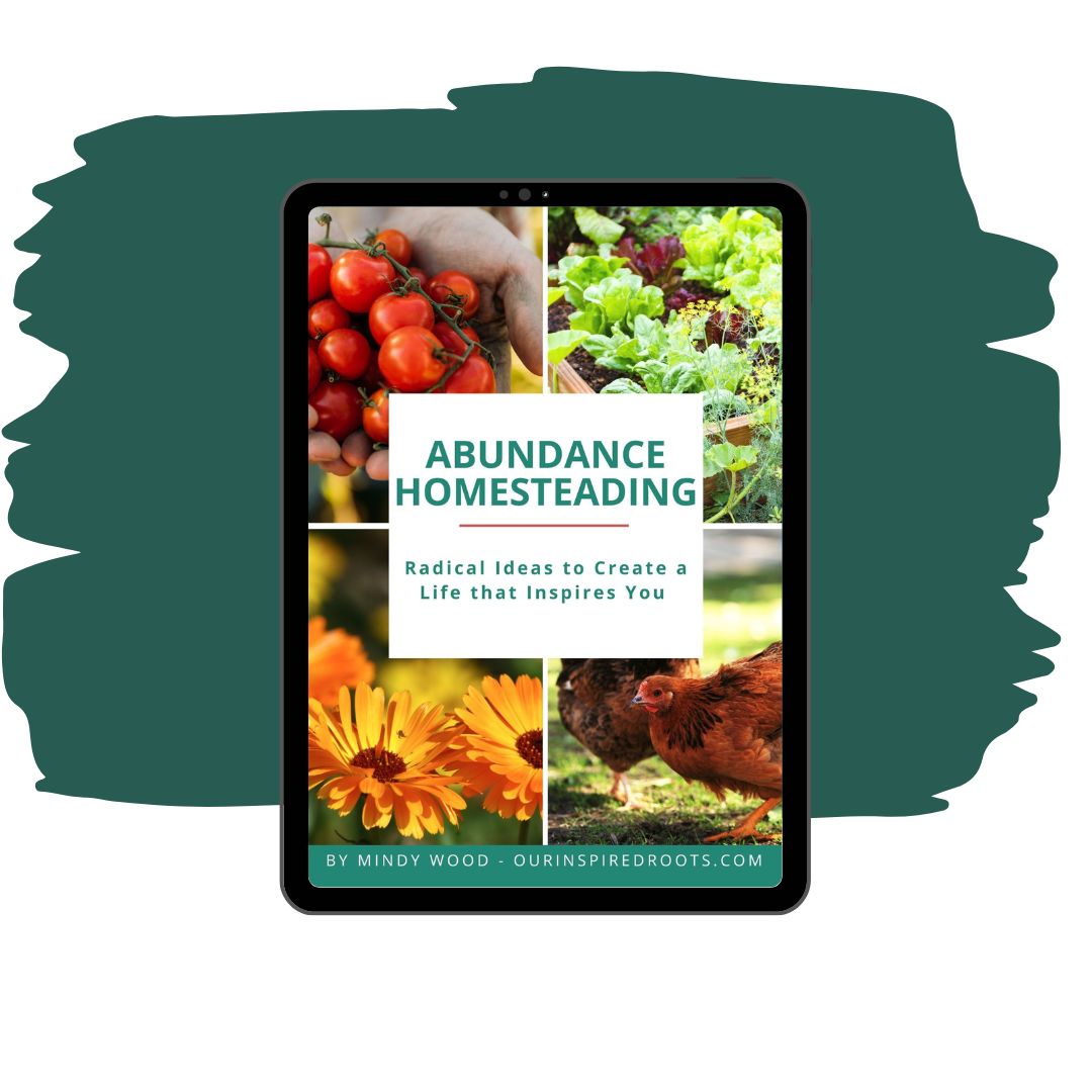 Abundance Homesteading