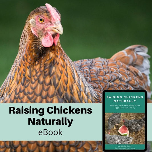 Raising Chickens Naturally