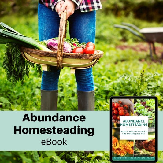 Abundance Homesteading