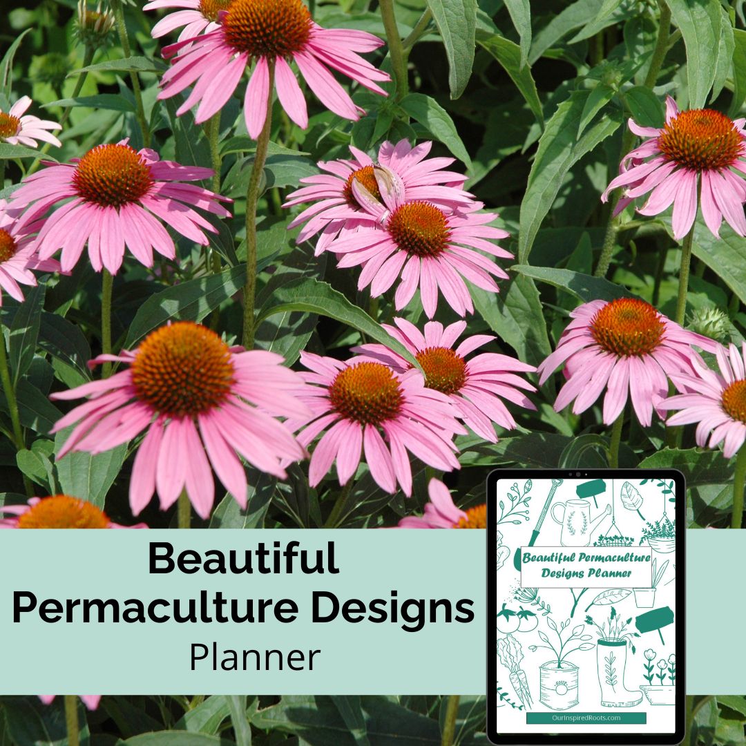 Beautiful Permaculture Designs Planner