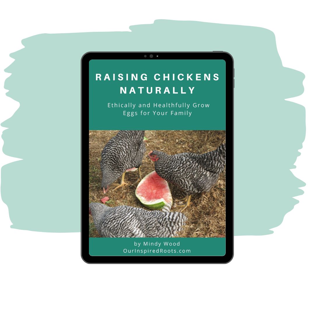 Raising Chickens Naturally